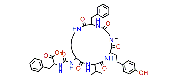 Anabaenopeptin NP 813